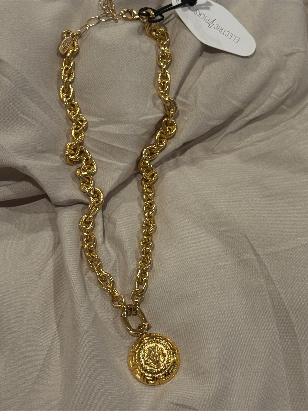 Electric Picks Lion medallion necklace Gold chain